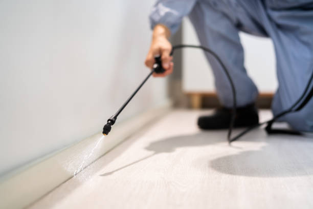Licensed Pest Control service in Flying Hills, PA - Show Me Pest Control