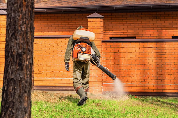 Bed Bug Clearance Verification and Documentation in Flying Hills